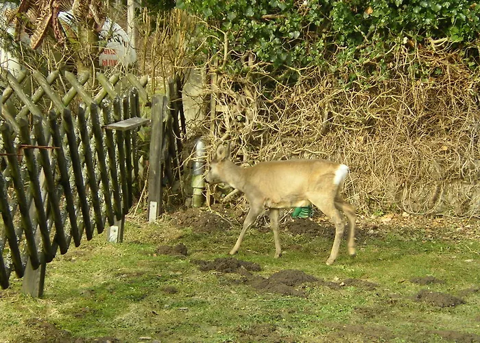 Hubert
