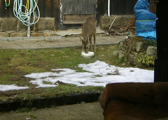 Hubert